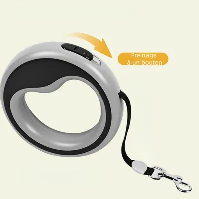 Zoomtopia Corde rétractable pour chien