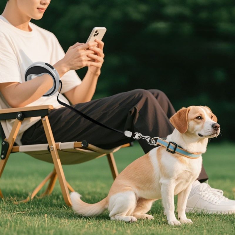 Zoomtopia Corde rétractable pour chien