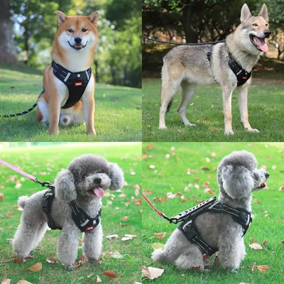 UAMLY Anti-Zug-Hundegeschirr (schwarz)