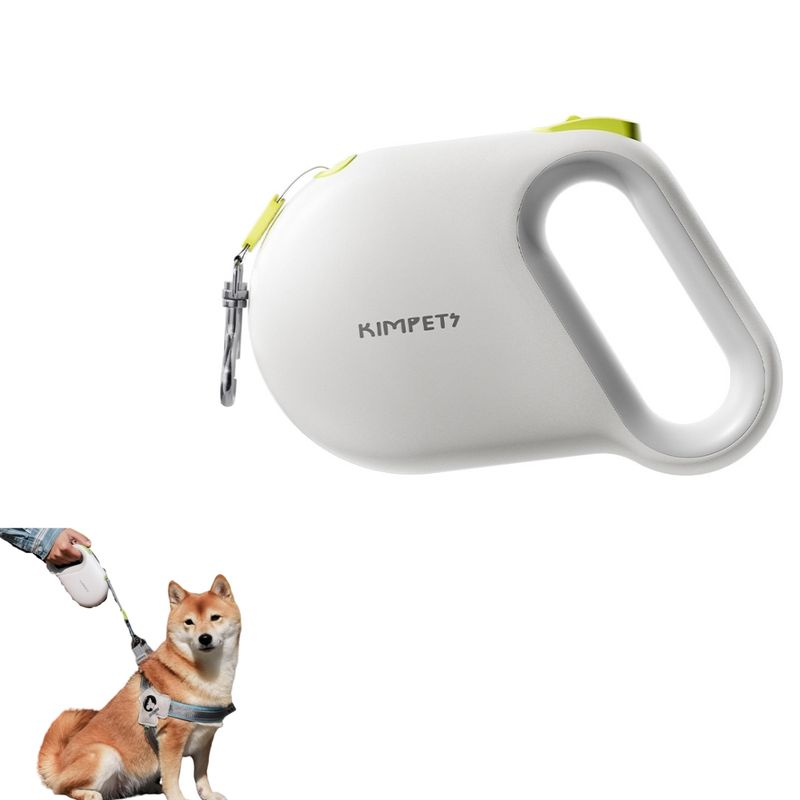 Zoomtopia Laisse pour chien rétractable