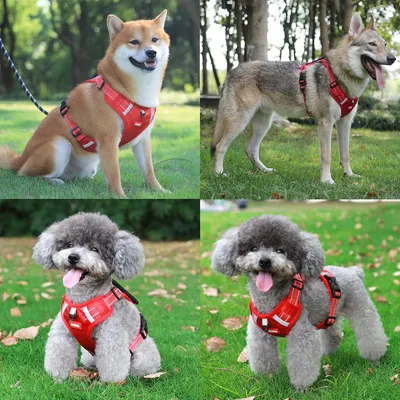 UAMLY Arnés antitirones para perros (rojo)