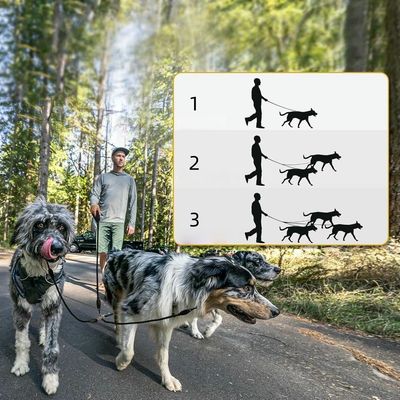 Zoomtopia Corde de traction pour chien