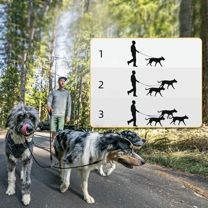 Zoomtopia Corde de traction pour chien