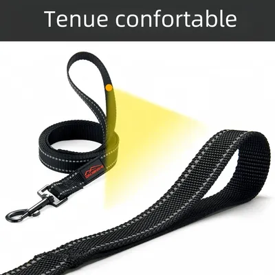 Zoomtopia Corde pour chien