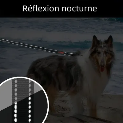 Zoomtopia Corde pour chien