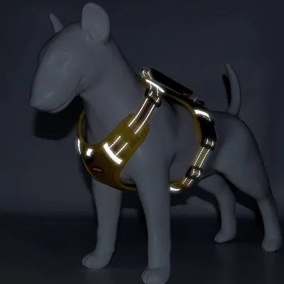 Harnais anti-traction pour chien(jaune)