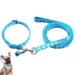 Zoomtopia Ensemble laisse et collier pour chien