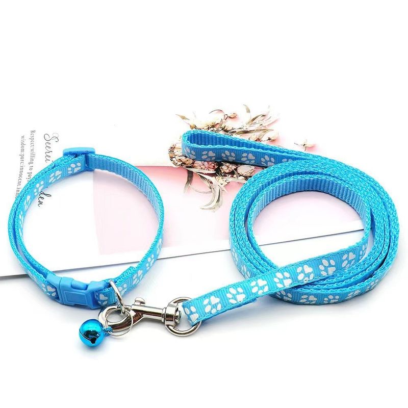Zoomtopia Ensemble laisse et collier pour chien