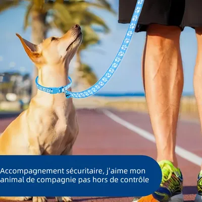 Zoomtopia Ensemble laisse et collier pour chien