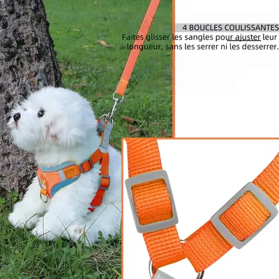 Zoomtopia Harnais pour chien réglable en maille respirante orange