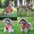 Harnais anti-traction pour chien(rouge)