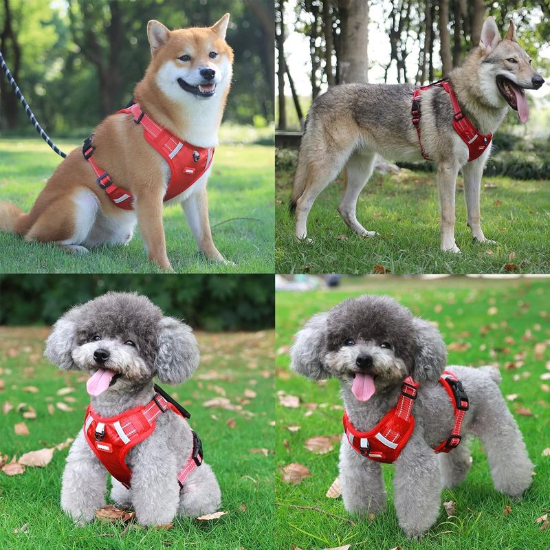 Harnais anti-traction pour chien(rouge)