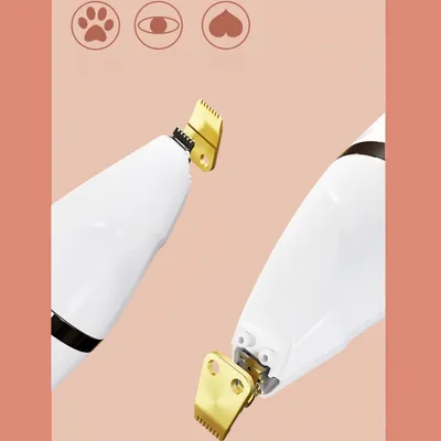 Pawzy Rasoir 4 en 1 haute puissance pour animaux