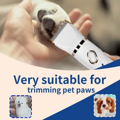 Pawzy Rasoir 4 en 1 haute puissance pour animaux