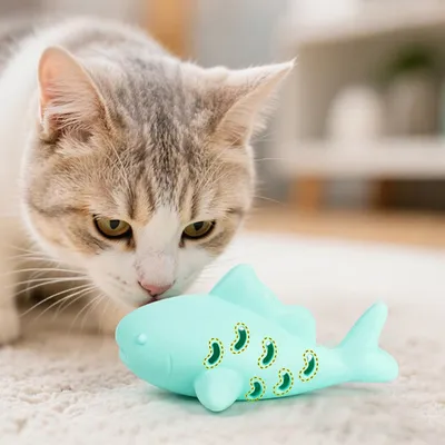 Zoomtopia Jouet en silicone pour chat