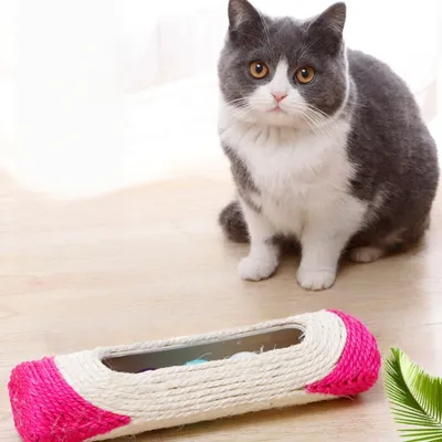 Zoomtopia Planche à griffer pour chat