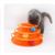Zoomtopia Jouet de pistes pour chat