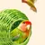 Zoomtopia Nid pour oiseaux en imitation rotin