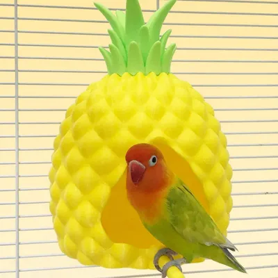 Zoomtopia Nid d'ananas pour petits animaux