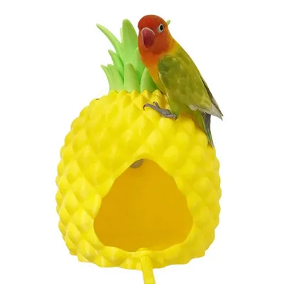 Zoomtopia Nid d'ananas pour petits animaux