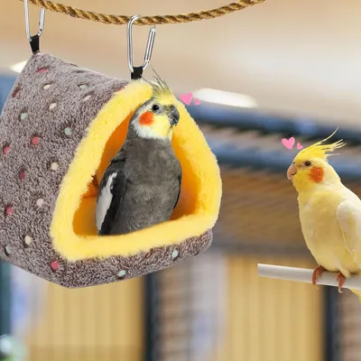 Zoomtopia Nid d'oiseau pour cage