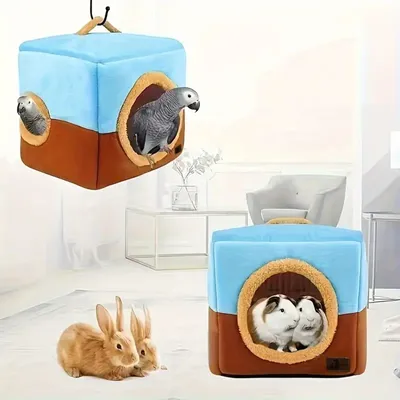 Zoomtopia Nid de perroquet grand format