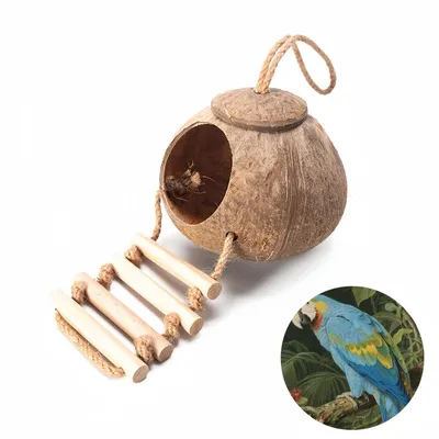 Pawzy Abri en coquille de noix de coco pour oiseaux Pawzy Abri en coquille de noix de coco pour oiseaux