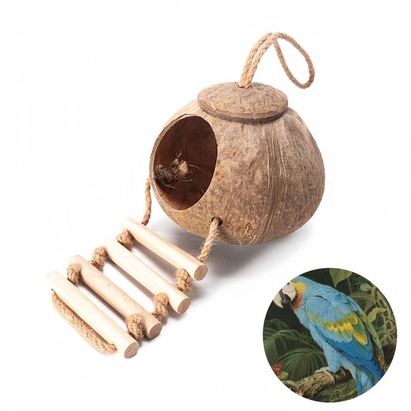 Pawzy Abri en coquille de noix de coco pour oiseaux