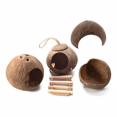 Pawzy Abri en coquille de noix de coco pour oiseaux