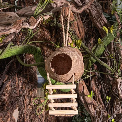 Pawzy Abri en coquille de noix de coco pour oiseaux