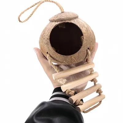 Pawzy Abri en coquille de noix de coco pour oiseaux