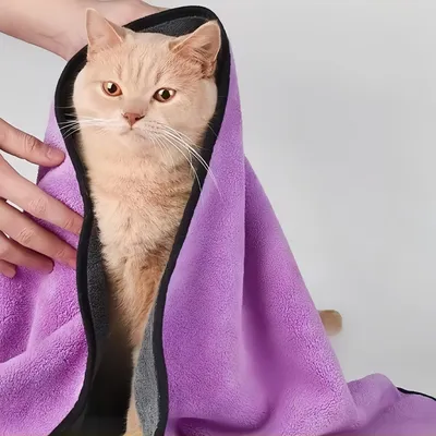 Pawzy Serviette absorbante pour animaux 100×50CM