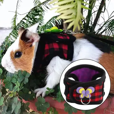 Zoomtopia Gilet de harnais pour petits animaux