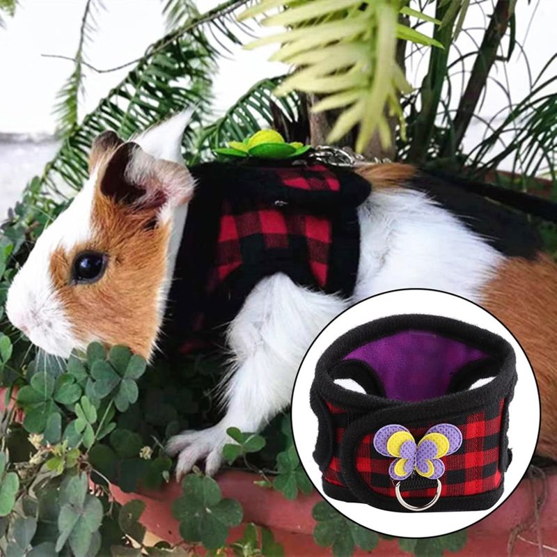 Zoomtopia Gilet de harnais pour petits animaux