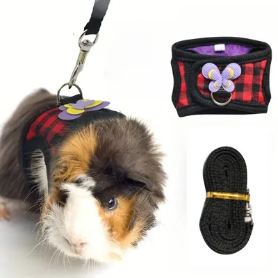 Zoomtopia Gilet de harnais pour petits animaux