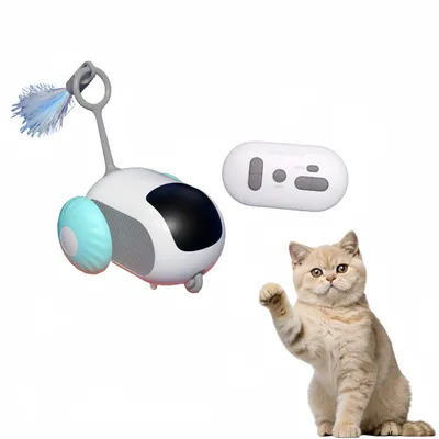 Pawzy Voiture de jeu pour chat
