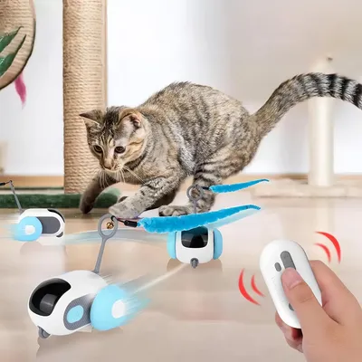 Pawzy Voiture de jeu pour chat