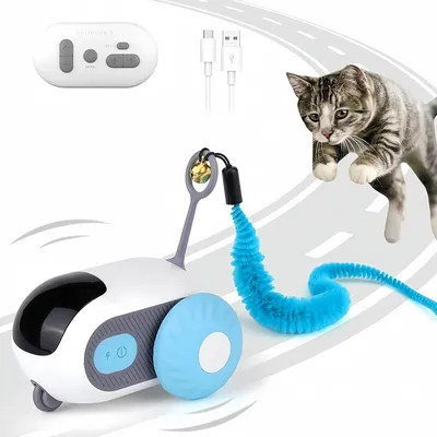 Pawzy Voiture de jeu pour chat