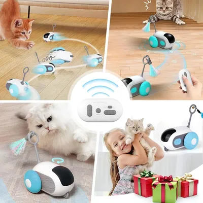 Pawzy Voiture de jeu pour chat