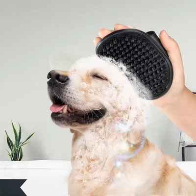 Zoomtopia Kit de toilettage professionnel pour animaux de compagnie