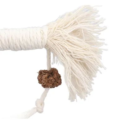 Jouet en corde pour chat avec fruit d'herbe à chat
