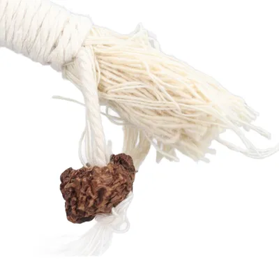 Jouet en corde pour chat avec fruit d'herbe à chat