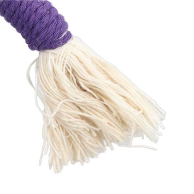 UAMLY Juguete de cuerda para gatos con fruta de hierba gatera