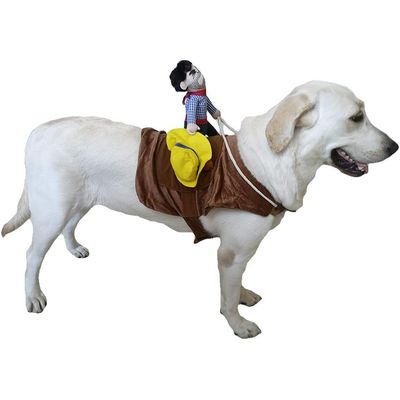 Costume d'équitation pour animaux de compagnie