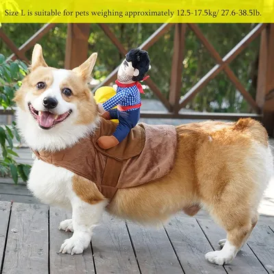 Reitkostüm für Haustiere Reitkostüm für Haustiere