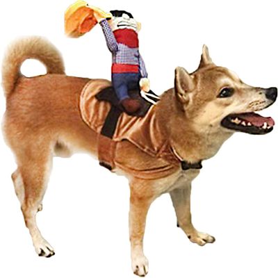 Costume d'équitation pour animaux de compagnie