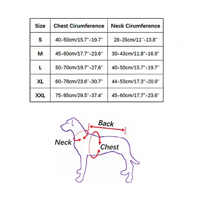 Reitkostüm für Haustiere Reitkostüm für Haustiere