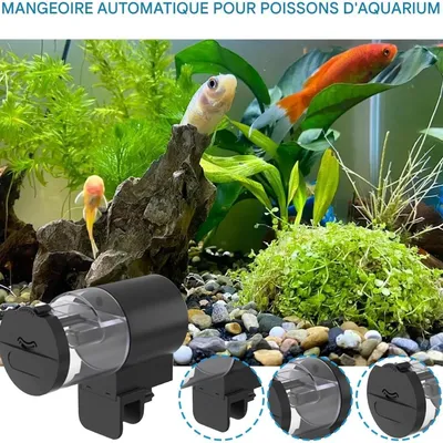 Zoomtopia Distributeur automatique d'aliments pour aquarium