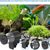 Zoomtopia Distributeur automatique d'aliments pour aquarium