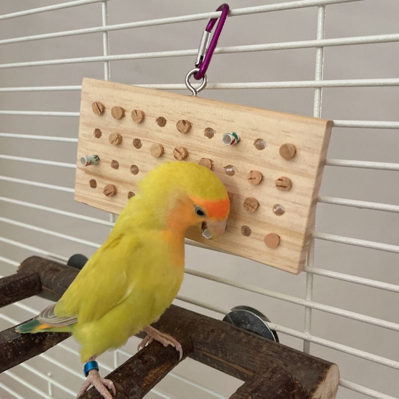 Pawzy Jouets pour Oiseaux - Divertissement au Déchirement